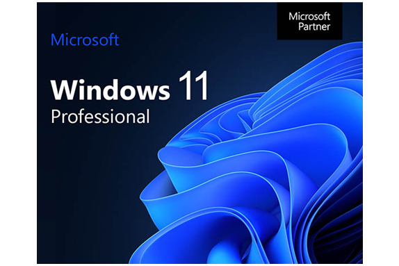 Windows 11 Pro Digital License