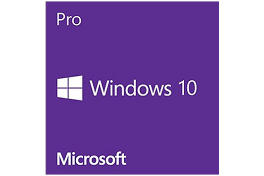 Windows 10 Pro Digital License