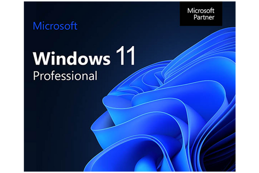 Windows 11 Pro Digital License